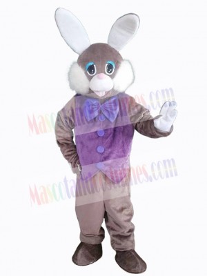 Easter Bunny Rabbit mascot costume