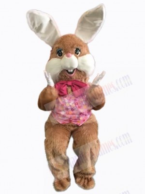 Easter Bunny Rabbit mascot costume