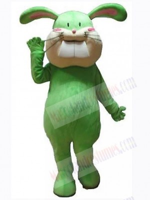 Easter Bunny Rabbit mascot costume