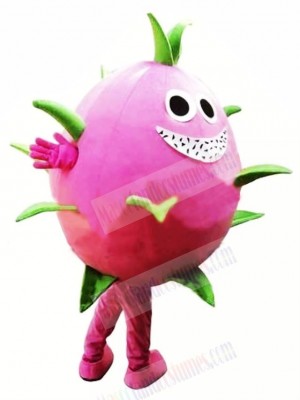 Dragon Fruit Pitaya Mascot Costume Cartoon