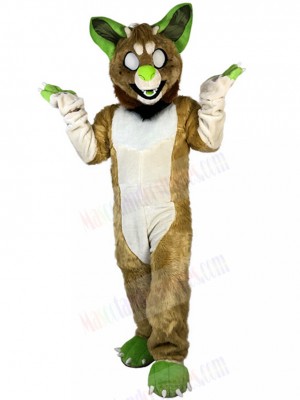 wolf mascot costume