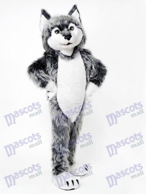 Gray Wolf Mascot Costume