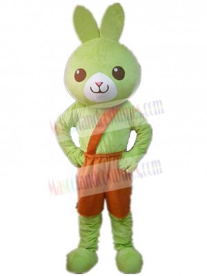 Rabbit mascot costume