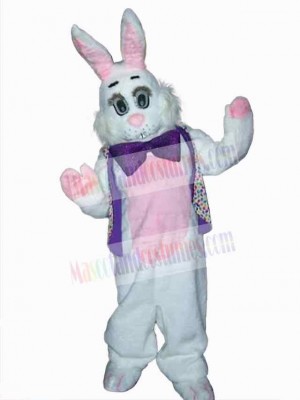 Easter Bunny Rabbit mascot costume