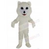 Samoyed Dog mascot costume