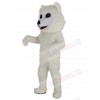 Samoyed Dog mascot costume