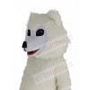 Samoyed Dog mascot costume