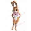 Easter Bunny Rabbit mascot costume