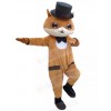 cat mascot costume