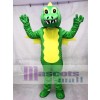 Green Stegosaurus Dinosaur Adult Mascot Costume