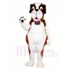 Saint Bernard Doctor Dog Mascot Costumes Animal  