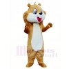 Brown Squirrel Mascot Costumes Animal 