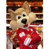 Howler - Phoenix Coyotes' Mascot, Howler is the coyote-suit…