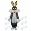 Easter 2nd Version Bugs Bunny Mascot Adult Costume