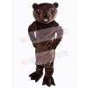 Beaver mascot costume