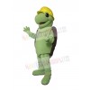 Turtle mascot costume