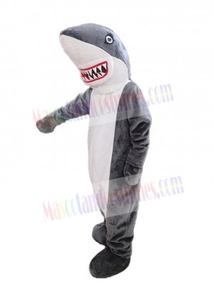 Shark mascot costume