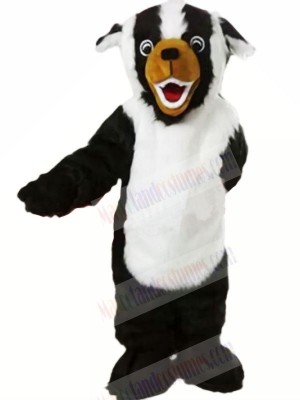 White and Black Badger Mascot Costumes Cartoon