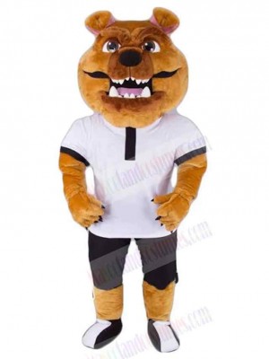 Dog mascot costume