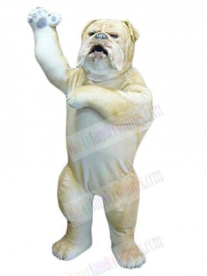 Dog mascot costume