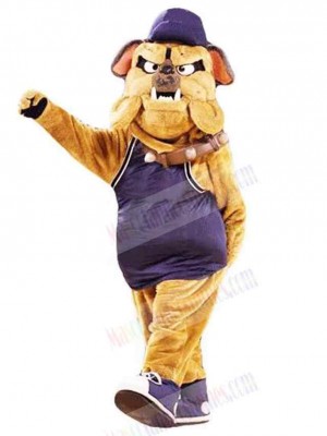 Dog mascot costume