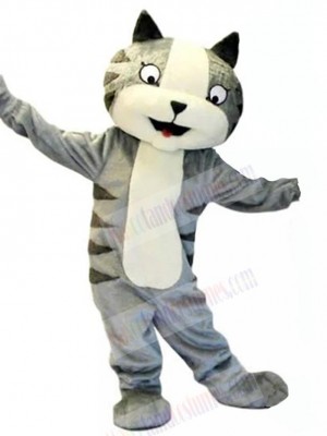 Funny Gray Cat Mascot Costume Animal with White Belly