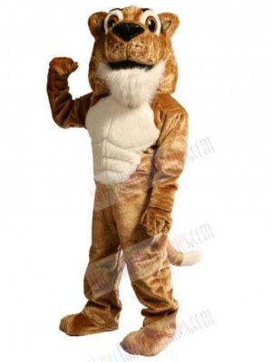 Cat mascot costume