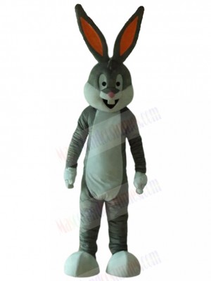 Rabbit mascot costume