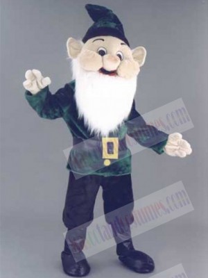 Elf mascot costume