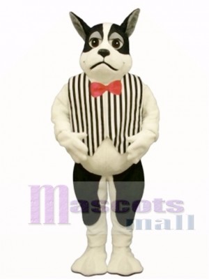 Cute Harrington Dog with Vest Mascot Costume Animal