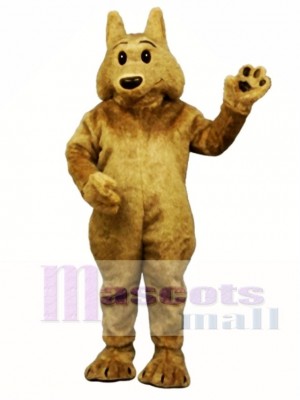 Cute Kyle Koyote Coyote Wolf Mascot Costume