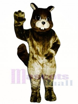 Squirrel Mascot Costume Animal 