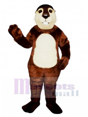 Fat Beaver Mascot Costume Animal 