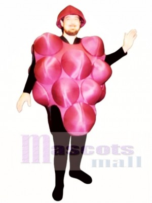 Grapes Mascot Costume Fruit