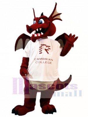 Wine Dragon with Wings Mascot Costumes