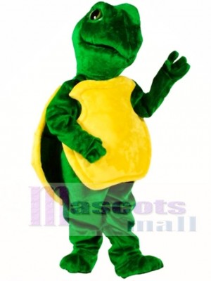 Turtle Mascot Costume