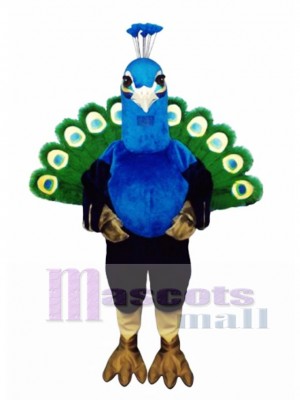 Cute Peacock Mascot Costume Bird