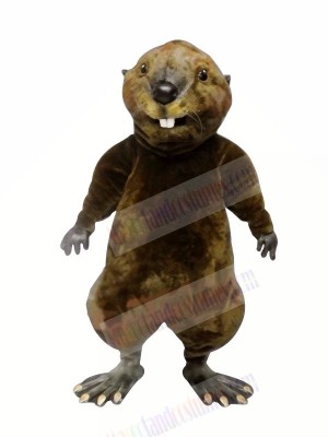 High Quality Otter  Mascot Costumes	