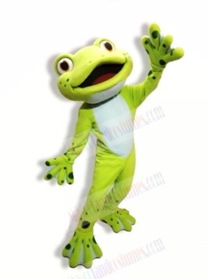 School Cute Frog Mascot Costumes Cartoon