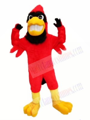 Strong Red Cardinal Mascot Costumes Animal