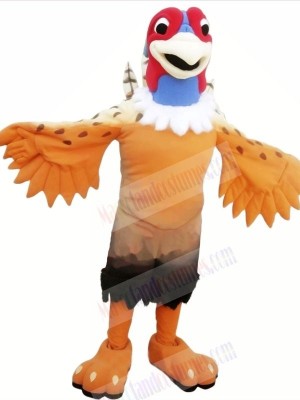 Nice Pheasant Mascot Costumes Cartoon 