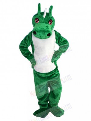 Dragon mascot costume