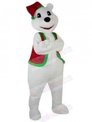 Bear mascot costume