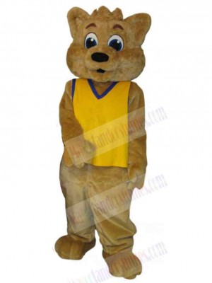 Loving Bear Couple Male Mascot Costume Animal