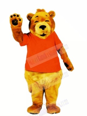 Smiling Bear in Orange T-shirt Mascot Costumes Cartoon