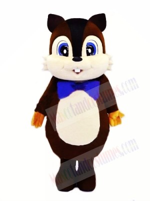 Lovely Lightweight Squirrel Mascot Costumes 