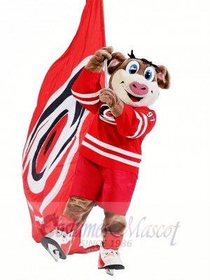 Hurricanes Stormy Hog Mascot Costume