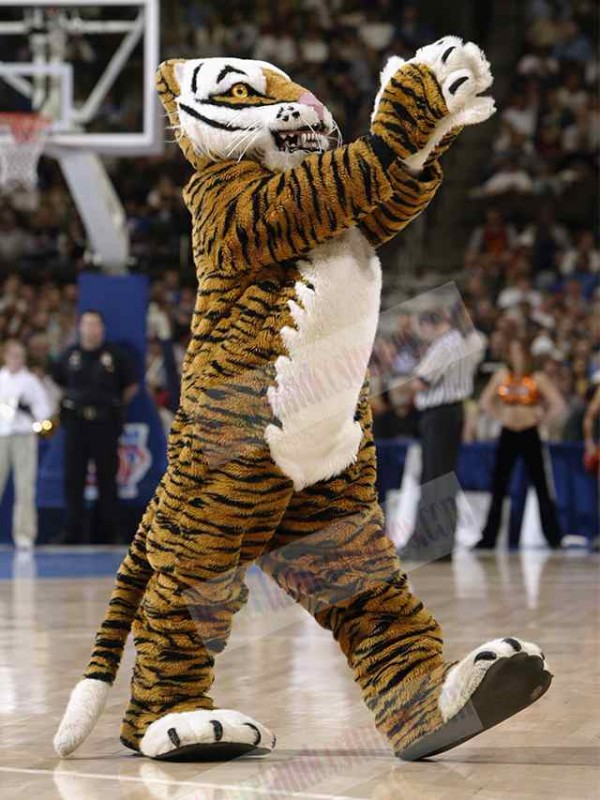 tiger mascot