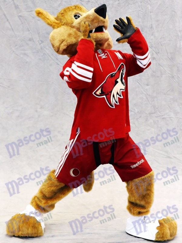 The Arizona Coyotes Mascot has finally chosen his apprentice. : r