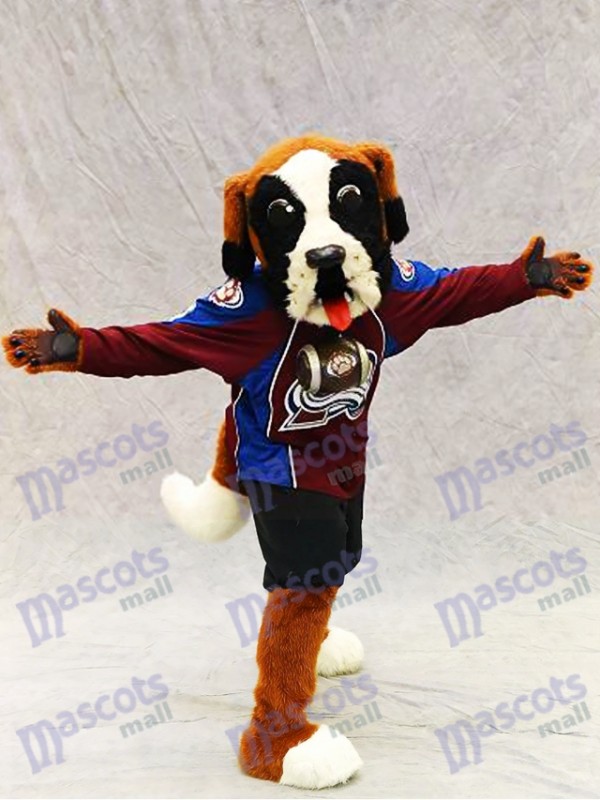 Bernie, the Colorado Avalanche's mascot, According to the C…